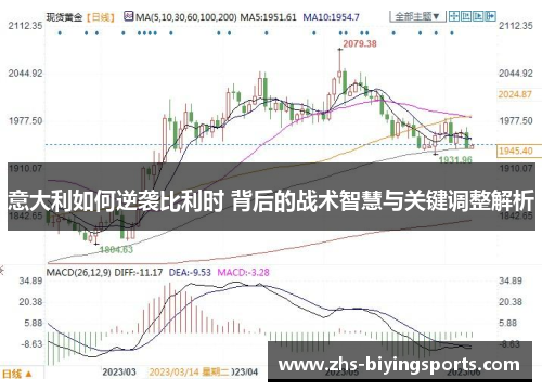 意大利如何逆袭比利时 背后的战术智慧与关键调整解析