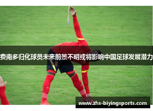 费南多归化球员未来前景不明或将影响中国足球发展潜力