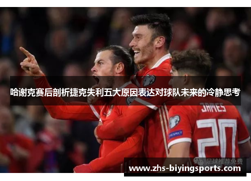 哈谢克赛后剖析捷克失利五大原因表达对球队未来的冷静思考